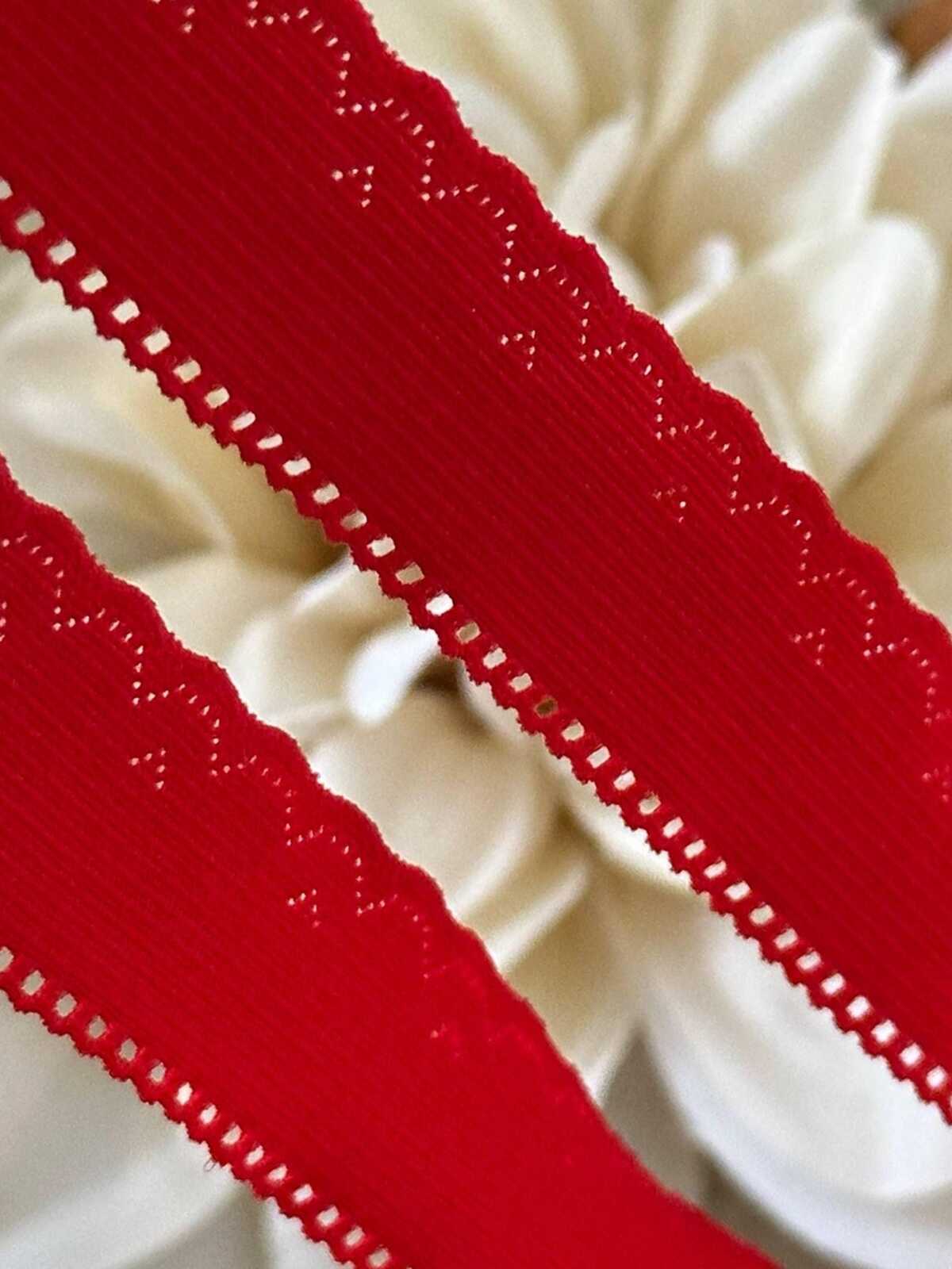 10 yds Red Lingerie Elastic Trim by Yard, 0.75" Ultra Soft Stretch Ribbon, Crimson Picot Edge, Coquette Craft Supply, DIY Sewing, Wholesale