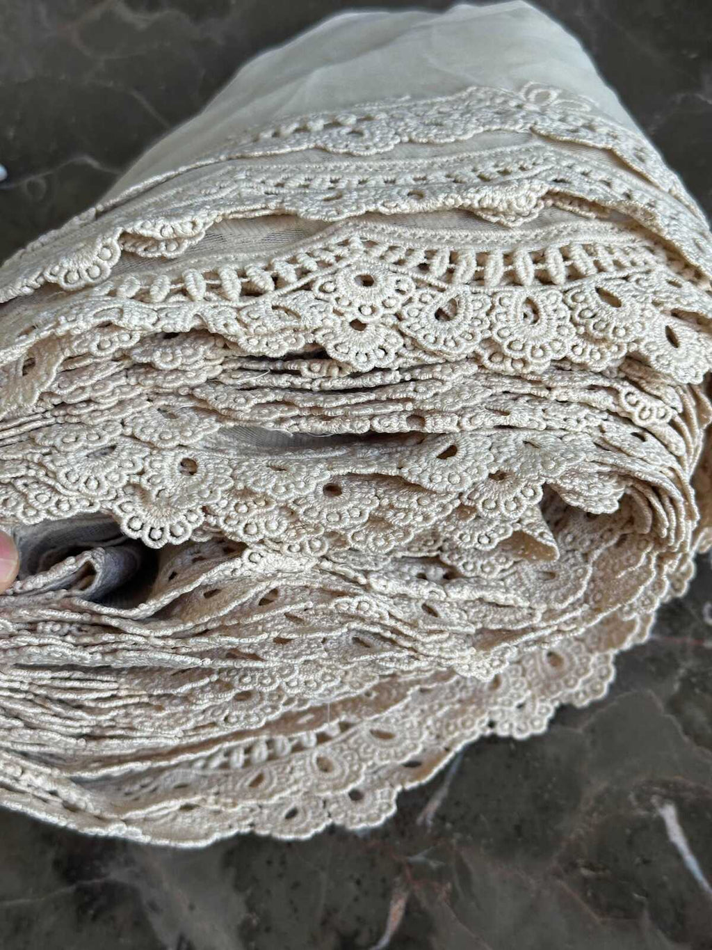 6" Champagne Cream Guipure Embroidered Tulle Lace Trim by the Yard, Vintage Scalloped Mesh Chemical Lace for Lolita Dress, Bridal Craft
