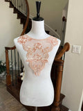 Muted Apricot Peach Mesh Floral Embroidered Collar Applique Detachable Lace Neckline Bib Motif for Dress Blouse Sewing, 11" x 18.5"